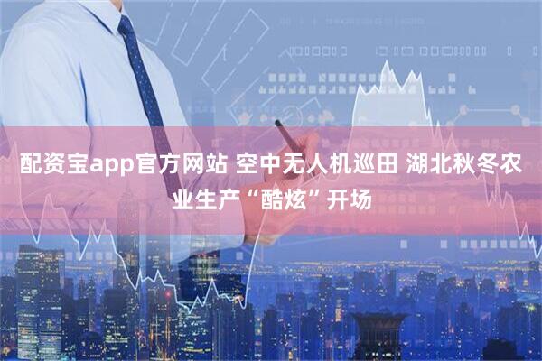 配资宝app官方网站 空中无人机巡田 湖北秋冬农业生产“酷炫”开场