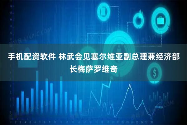 手机配资软件 林武会见塞尔维亚副总理兼经济部长梅萨罗维奇