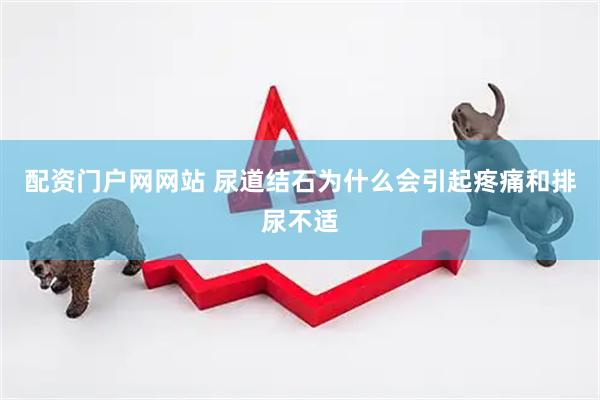 配资门户网网站 尿道结石为什么会引起疼痛和排尿不适